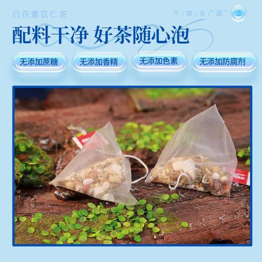 康美白茯薏苡仁茶5g*20袋/盒 养生茶饮代泡茶 商品图3