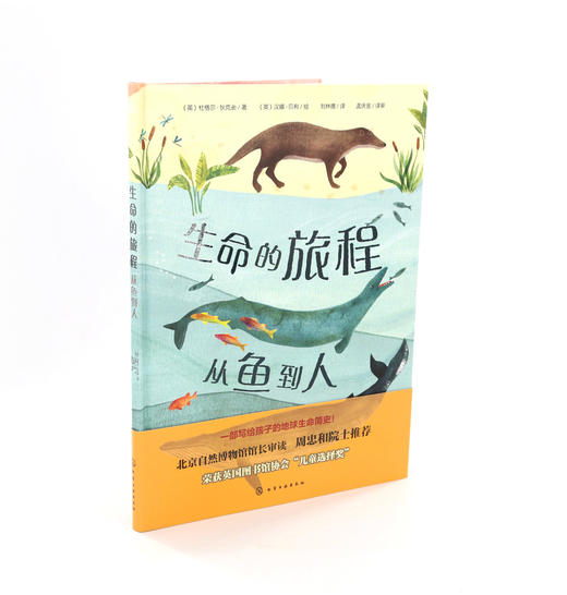 生命的旅程：从鱼到人 商品图4