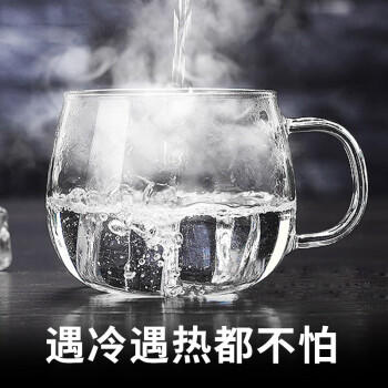 富光花茶杯 男女士茶水分离杯子 双层办公泡茶玻璃杯带把高硼硅水杯 商品图3