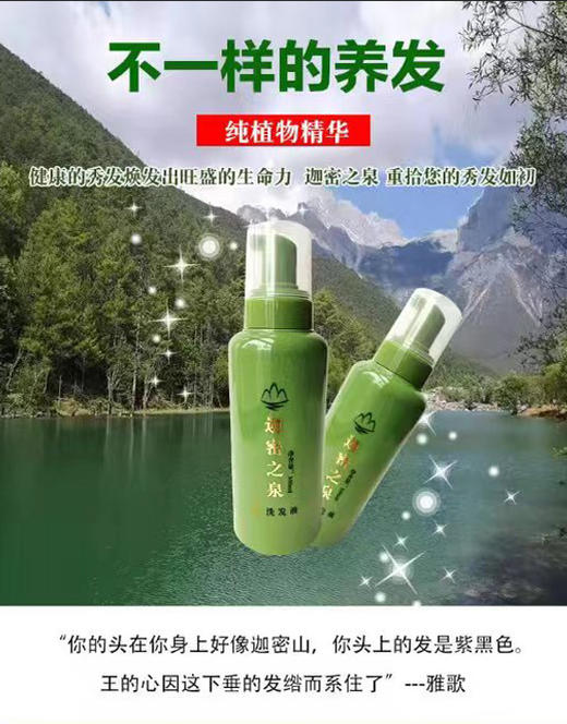 迦密之泉【草本植物养发洗发水】头皮管理专用洗发水！不只是清洁！植物养发，滋养头皮、从源头解决发质问题！专业售后一路陪伴，请务必加客服进入售后群！ 商品图0