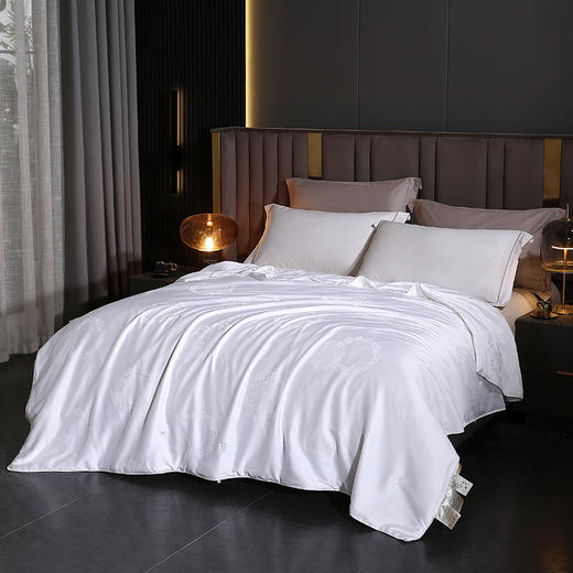 悠梦嘉居云锦玉柔纯蚕丝被 商品图0