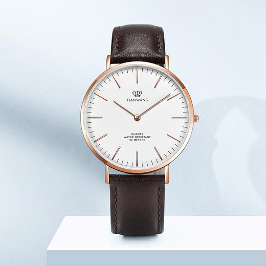 TW002454-3    天王TIAN WANG  【七夕礼盒】爆款简约时尚皮带情侣手表男士女士石英表3851【无电】 商品图1
