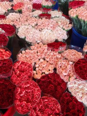 精品花材康乃馨18支