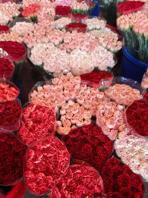 精品花材康乃馨18支 商品图0