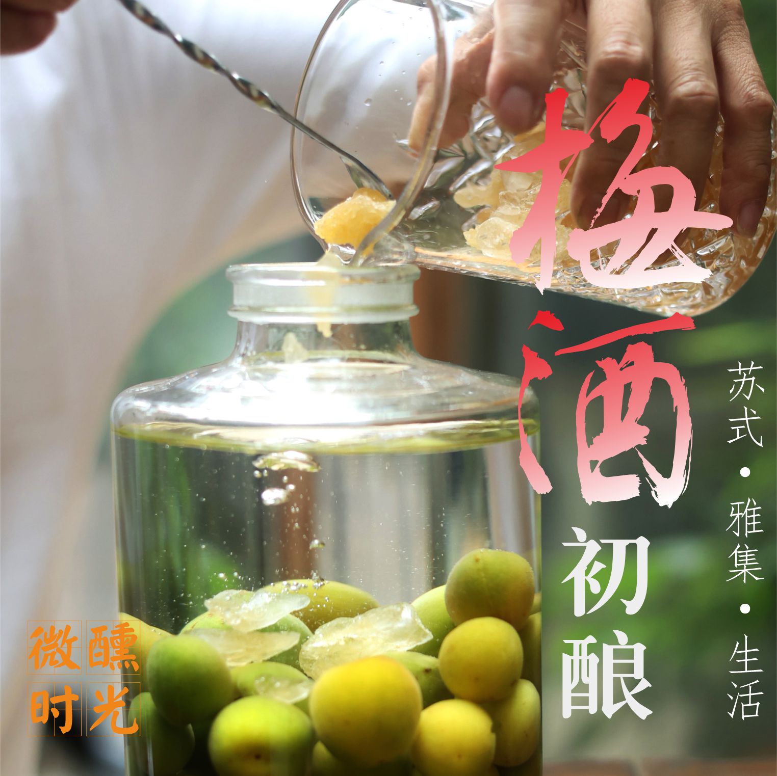 吴事可作【梅酒初酿 • 微醺时光】手作体验一瓶青梅酒