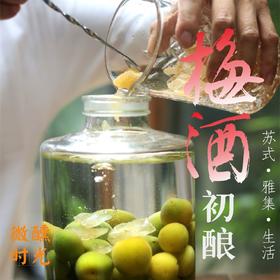 吴事可作【梅酒初酿 • 微醺时光】手作体验一瓶青梅酒