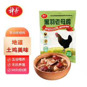 【神丹】正宗黑羽老母鸡农家散养500天土鸡新鲜现杀冷冻走地鸡1000g