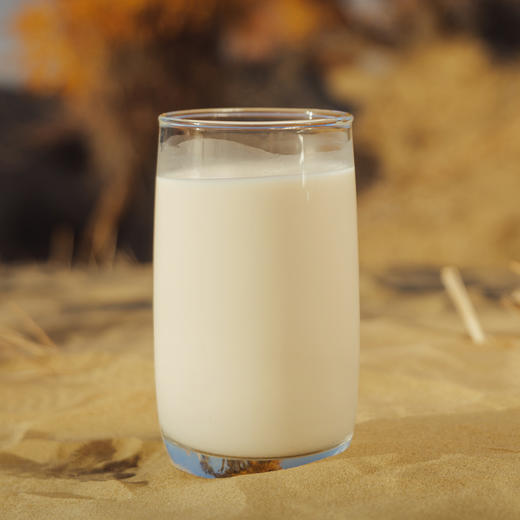 【原味燕麦奶】营养丰富，释放真麦香，配料简单【AA】 商品图2