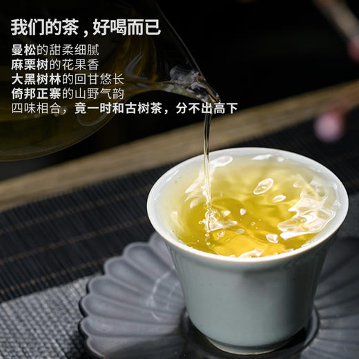 【会员福利】元昌号2023年倚邦圆茶老树357克生饼 商品图2