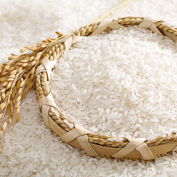 福佑.岭南人家 小玉香粘 大米15kg 猫牙米 油粘米 长粒米 大米30斤 /粮油调味 /米 /油粘米