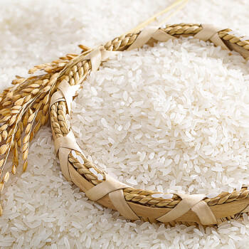 福佑.岭南人家 小玉香粘 大米15kg 猫牙米 油粘米 长粒米 大米30斤 /粮油调味 /米 /油粘米 商品图0