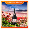 墨尔堡无醇起泡酒 | 千万级粉丝博主强烈推荐 | 0酒精 开车也能喝 甜美冰爽如徜徉玫瑰葡萄园 商品缩略图0