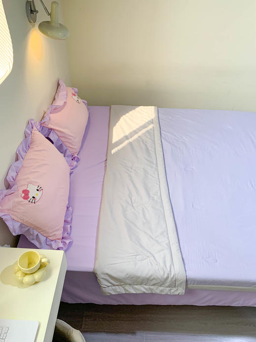 【维科家纺】凉感冰蚕芯夏被 商品图5