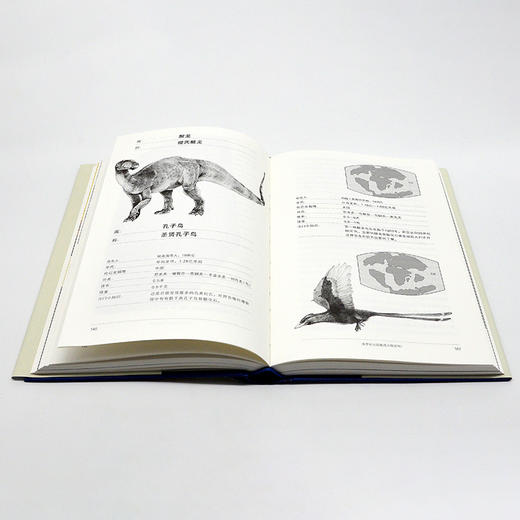【精装】恐龙全书|  科学家讲述的恐龙‘冷知识档案’ 商品图8