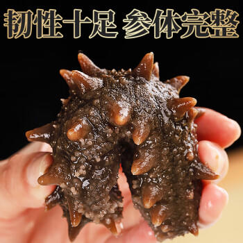三只海豚干海参 大连海参干货辽参刺海参国标高泡发海产13-16只/50g /粮油调味 /南北干货 /干海参 商品图4