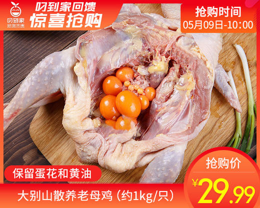 大别山散养老母鸡（约1kg/只） 商品图0