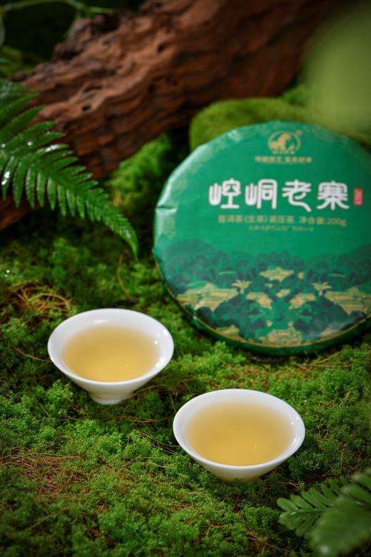 「佤山映象」生普洱茶崆峒老寨 357g/片 商品图1