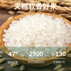 万亩仓 新米 软香米 大米20斤 珍珠米 粳米 /粮油调味 /米 /珍珠米 商品缩略图4