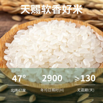 万亩仓 新米 软香米 大米20斤 珍珠米 粳米 /粮油调味 /米 /珍珠米 商品图4
