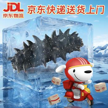 三只海豚干海参 大连海参干货辽参刺海参国标高泡发海产13-16只/50g /粮油调味 /南北干货 /干海参 商品图2