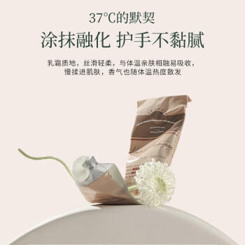 安野屋（AARYE）护手霜浅玫瑰与姜糖共80g滋润保湿生日礼物女 商品图0