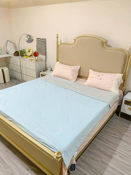 【维科家纺】凉感冰蚕芯夏被 商品图1