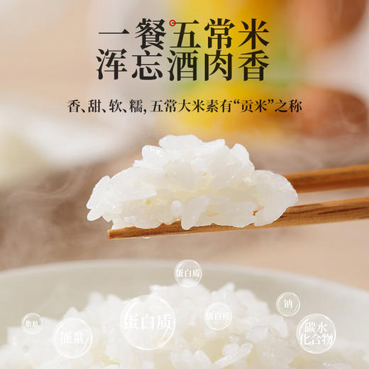乔府大院 五常大米（贵拾鲜定制）5kg 商品图1