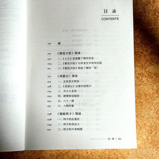 特级教师思维导图名著领读 大夏书系 阅读教育 吴再柱 商品图5