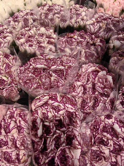 精品花材康乃馨18支 商品图2