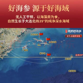 张奶奶正宗大连淡干海参130g20-30头 底播辽刺参礼盒 营养滋补送礼 /粮油调味 /南北干货 /干海参 商品图2