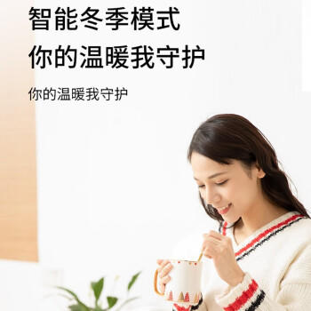 西屋（Westinghouse）即热式饮水机 小型台式即热饮水机家用 智能恒温电水壶保温杯 冲泡奶机WFH30-W4 商品图8