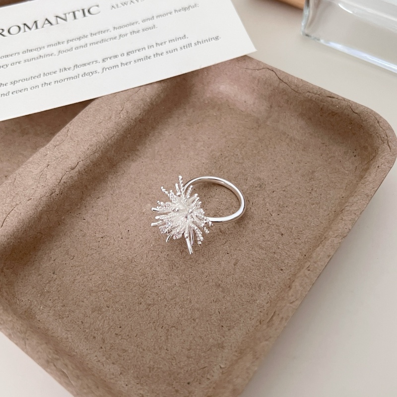 高级清冷感百搭戒指1066-