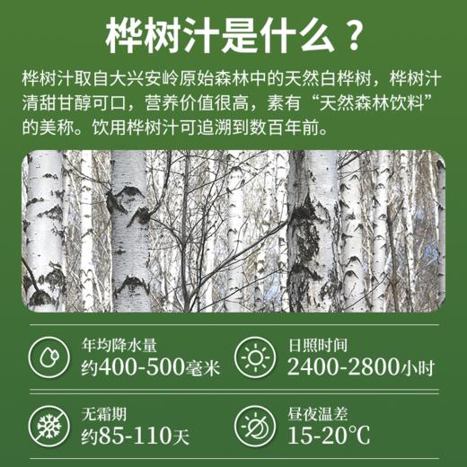 白桦树汁原液&饮料 | 325ml/280ml 富含矿物质及多种维生素 口感清爽 大兴安岭天然白桦林 北方神桦 商品图4
