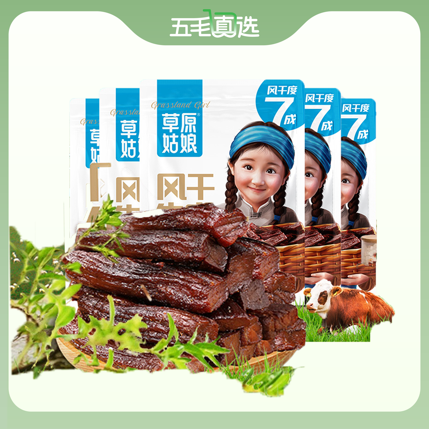 风干牛肉干100g*5袋