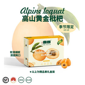 高山黄金枇杷 大五星枇杷 地标产地 30年老树 果味浓郁 多汁化渣 易撕皮 顺丰包邮