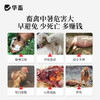 华畜 寒暑应激康1斤 高温应激 解暑降温 孕畜可用 商品缩略图1