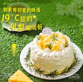 新品-金钻凤梨半糖蛋糕