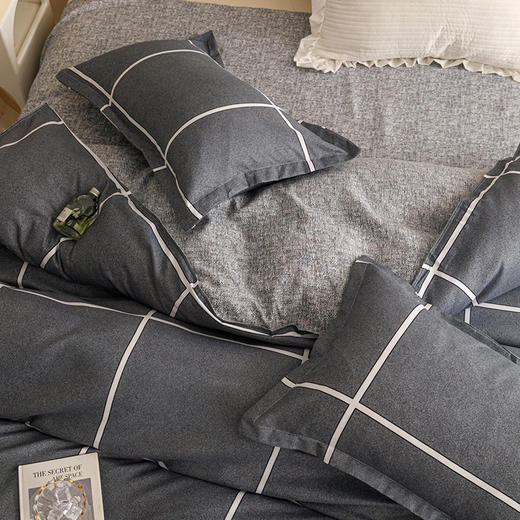 皇冠都市格调 （磨毛四件套）T3513 商品图3