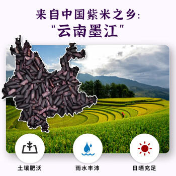 吾爱吾谷云南紫米300g（墨江紫糯米含花青素无染色五谷杂粮粗粮紫米粥） /粮油调味 /杂粮 /谷米类 商品图4