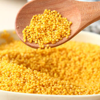 晋味美有机沁州黄小米罐装1.6斤山西特产黄小米小米粥五谷杂粮儿童辅食 /粮油调味 /杂粮 /谷米类 商品图1