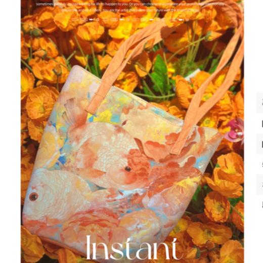 刘畅-帆布袋 商品图0