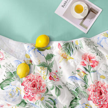 富安娜被子夏凉被 可水洗七孔抑菌空调被 纯棉面料双人夏被3斤203x229cm 商品图1