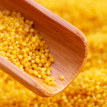 晋味美有机沁州黄小米罐装1.6斤山西特产黄小米小米粥五谷杂粮儿童辅食 /粮油调味 /杂粮 /谷米类 商品图6