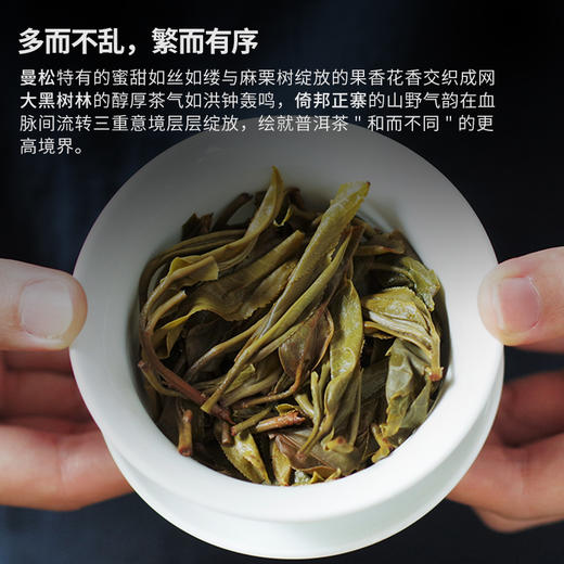 【会员福利】元昌号2023年倚邦圆茶老树357克生饼 商品图3