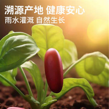 弘三利铺子甄选红小豆红豆400g包装杂粮粗粮大米伴侣红豆粥豆沙  /粮油调味 /杂粮 /其他杂粮 商品图5