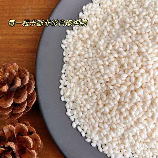 掌中禾五常糯米 500/袋 一年一季 黑土好米 商品图6