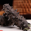 张奶奶正宗大连淡干海参130g20-30头 底播辽刺参礼盒 营养滋补送礼 /粮油调味 /南北干货 /干海参 商品缩略图3