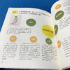 少年诗词游，精品函套（全15册），绝版经典凯旋，绘本+读本+叶嘉莹吟诵音频，一书多用，专家坐镇，讲透中华上下五千年诗词歌赋、历史、书法、艺术、地理 商品缩略图2