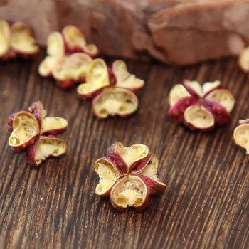 爱蜀味国标一级汉源红花椒80g 四川汉源花椒无籽大红袍麻椒特香特麻贡椒 商品图1