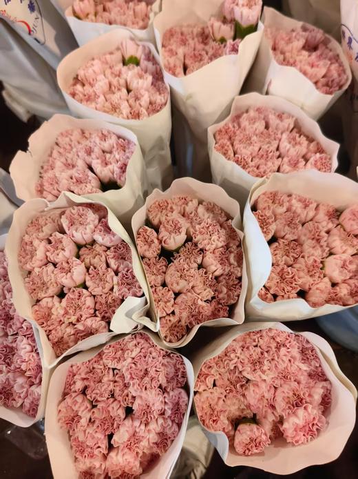 精品花材康乃馨18支 商品图5